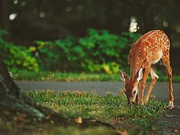 4 Person Holiday Home in Solvesborg-by Traum