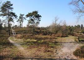 Chalet by Leukermeer With Terrace