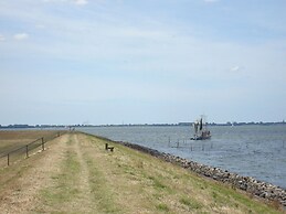 Glamping Tent With Kitchen on the Ijsselmeer