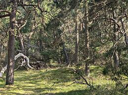 4 Star Holiday Home in Frederiksvaerk