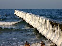 Nice Apartment With Wifi