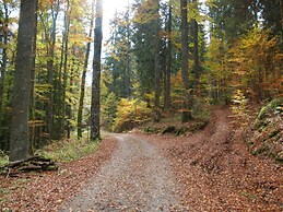 Mitterdorf Modern Retreat