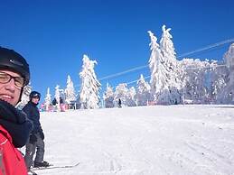 Mitterdorf Modern Retreat