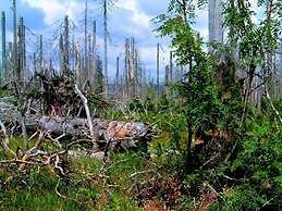 Mitterdorf Modern Retreat