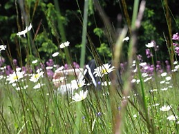 Mitterdorf Modern Retreat