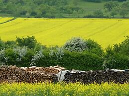 Penthouse Tauberblick Terrace