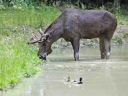 Penthouse Tauberblick Terrace