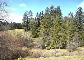 Holiday Home Reichenbach