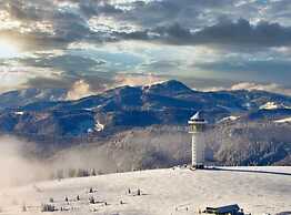 Holiday Home Scharzwald