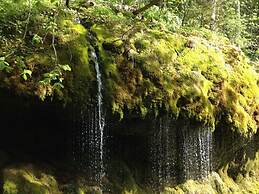 Holiday Home Scharzwald