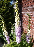 Holiday Apartment Gerdes