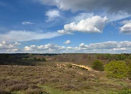 Houseboat in Lathumse Plas With Harbor Views