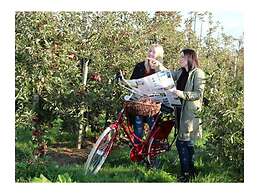 H a r m o n i e - Country House 