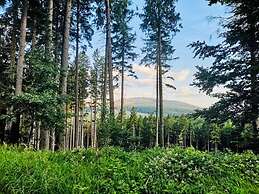 Holiday Home Harzhaus Time out