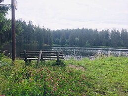 Holiday Home Harzhaus Time out