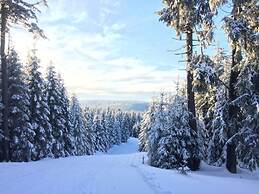 Holiday Home Harzhaus Time out