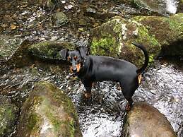 Holiday Home Harzhaus Time out