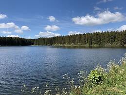 Holiday Home Harzhaus Time out