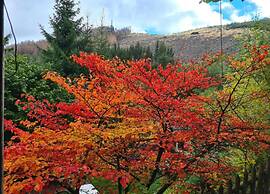 Herentals Hideaway With Balcony