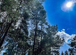 Herentals Hideaway With Balcony