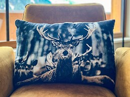 Beautiful Apartment 600 m From the ski Lift