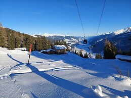 Wellness Chalet Directly on the ski Slope