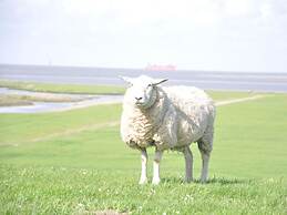 Thatchdachkate Sillenserwisch