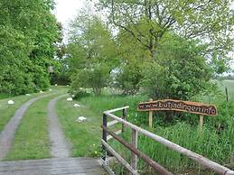 Thatchdachkate Sillenserwisch