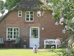 Thatchdachkate Sillenserwisch