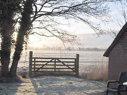 Thatchdachkate Sillenserwisch