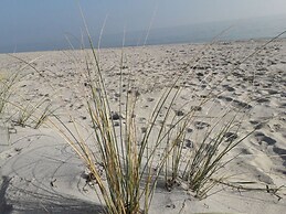 Chrissi's Baltic Sea Nest