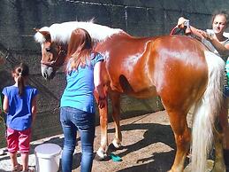 Biologische Pension & Boerderij 