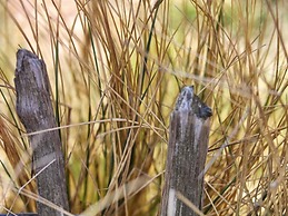 Holiday Home Between Oosterduinse Meer and Sea
