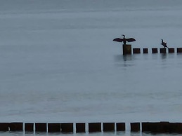 Beach & Good Comfortable Holiday Residence