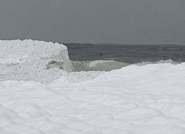 Beach & Good Comfortable Holiday Residence