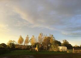 Golden Light Cottage Escape
