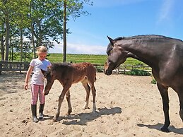 Glamping Tent on a Holiday Park on the Ijsselmeer