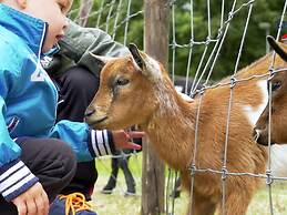 Glamping Tent on a Holiday Park on the Ijsselmeer