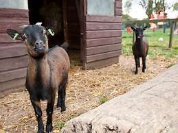 Glamping Tent on a Holiday Park on the Ijsselmeer