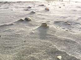 Deichwiege Modern Retreat