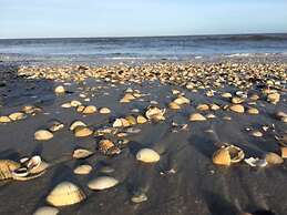 Deichwiege Modern Retreat