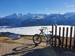 Apartment Chalet Beatrice Share