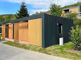 Modern Holiday Home With Skislope at 100 m