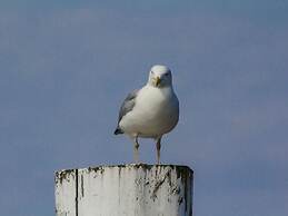 Penthuus Modern Retreat