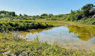 Apartment in Nieuwpoort With sea Views