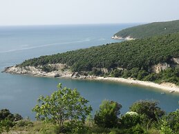 Adorable Home With Garden and Outdoor Kitchen