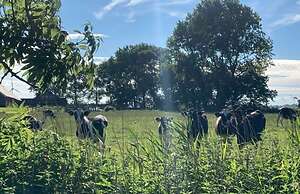 Holiday Apartment Nordnest