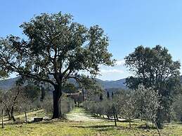 Holiday Apartment Casa Felicita