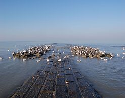 Hawthorn 3-1 Spacious Family Apartment