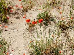 La Poudritre Apartment in Koksijde With Terrace
